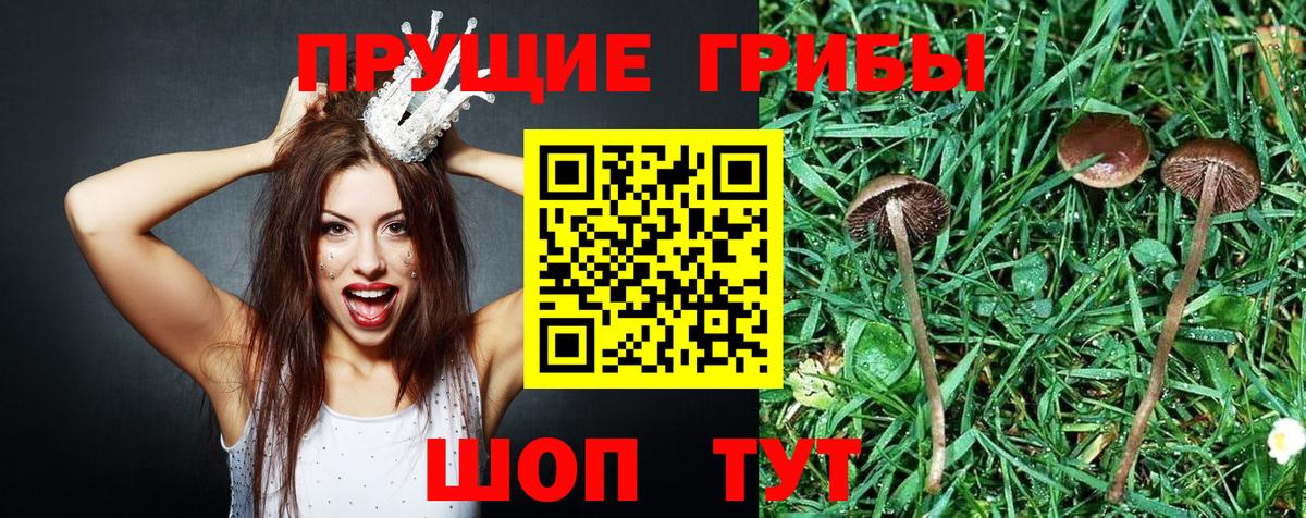 Псилоцибиновые грибы прущие грибы  Галлюциногенные грибы прущие грибы  Вход с VPN  Можайск 