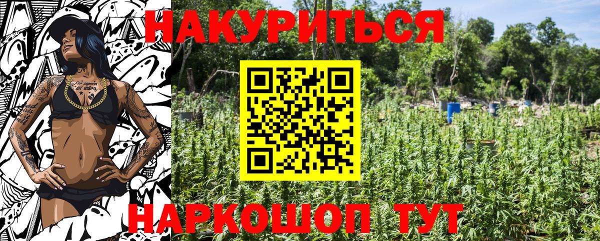 Бошки марихуана план  Вход с VPN  Шишки марихуана ГИДРОПОН  Можайск  Канабис конопля 